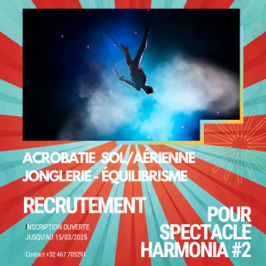 Casting arts du cirque